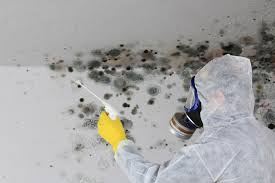 Best Mold Documentation for Insurance Claims  in , MS